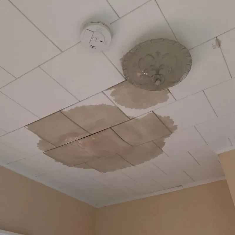 Ceiling Water Damage Repair in Cumberland, VA