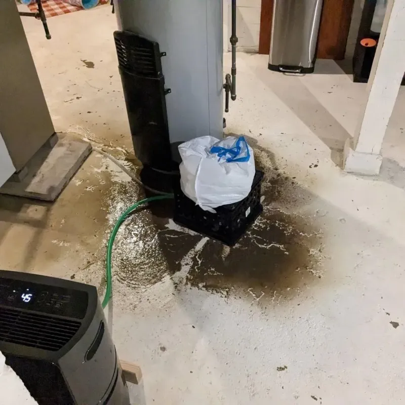 Sewage Backup Cleanup Service in Cumberland, VA